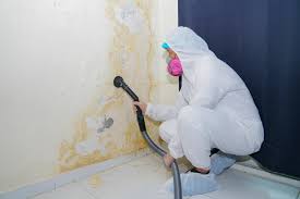 Mold Remediation for Rental Properties in Dutch Island, GA